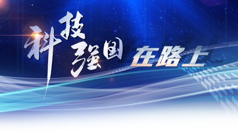 数据服务安装参数设置：关键步骤与注意事项